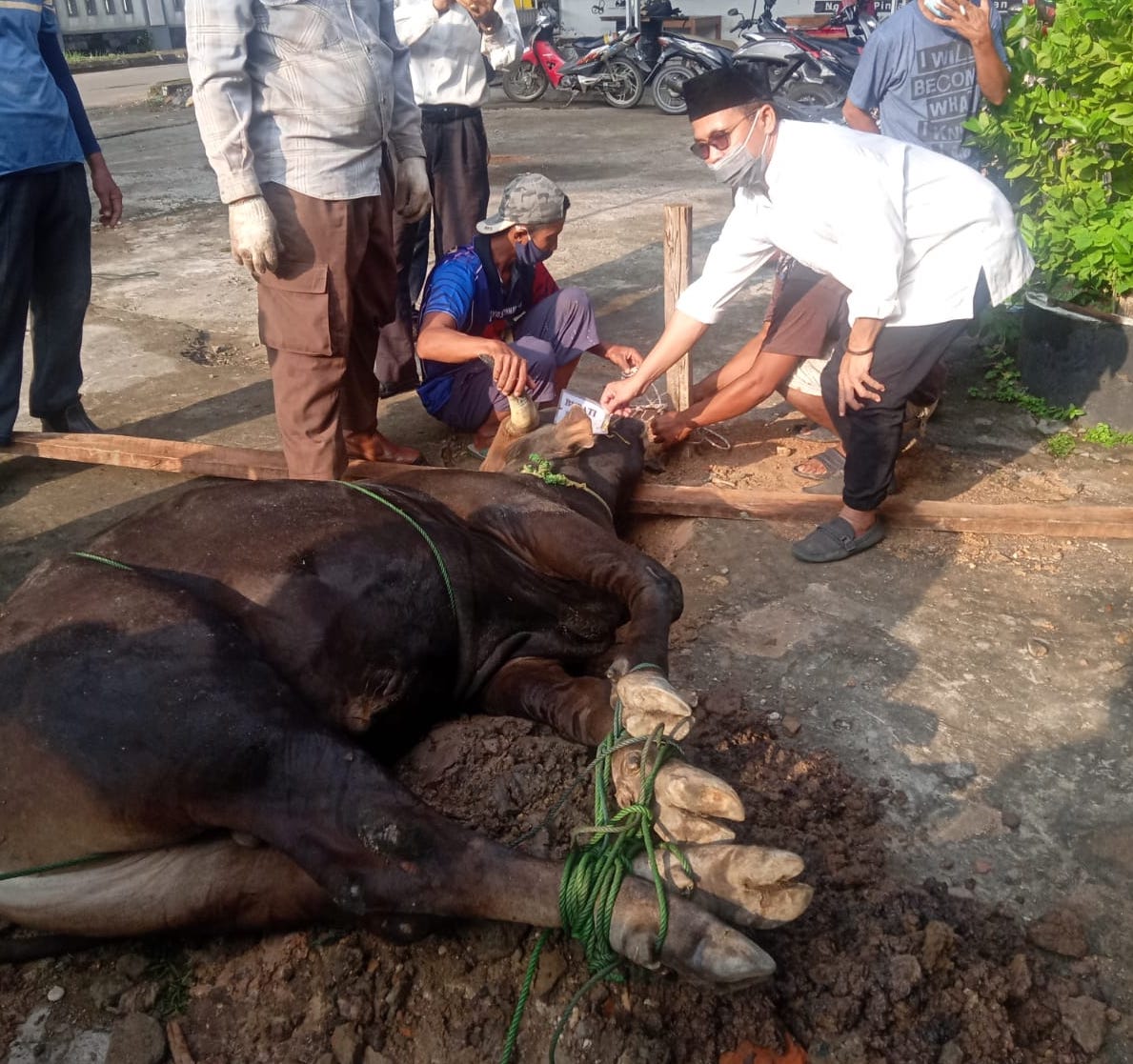 Suasana pemotongan hewan kurban di halaman sekretariat PWI Sumsel, Rabu (21/7) pagi