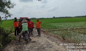 Seluas 2.773 Ha lahan persawahan di Kabupaten Ogan Komering Ilir (OKI) terancam fuso (gagal panen) akibat terendam banjir