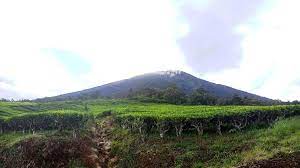 Gunung Dempo Pagar Alam Sumsel (IST)